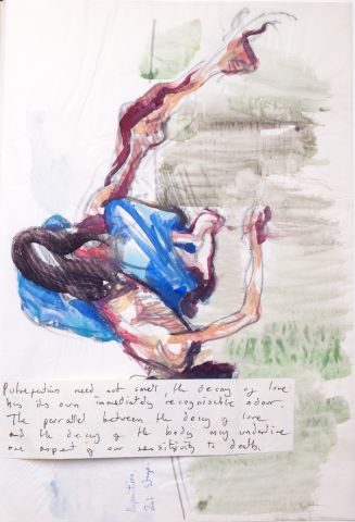 Project 4 notebook - page 13 Project 4 notebook - page 13