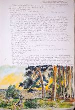 p104. Illustration & notes: The House at Pooh Corner.